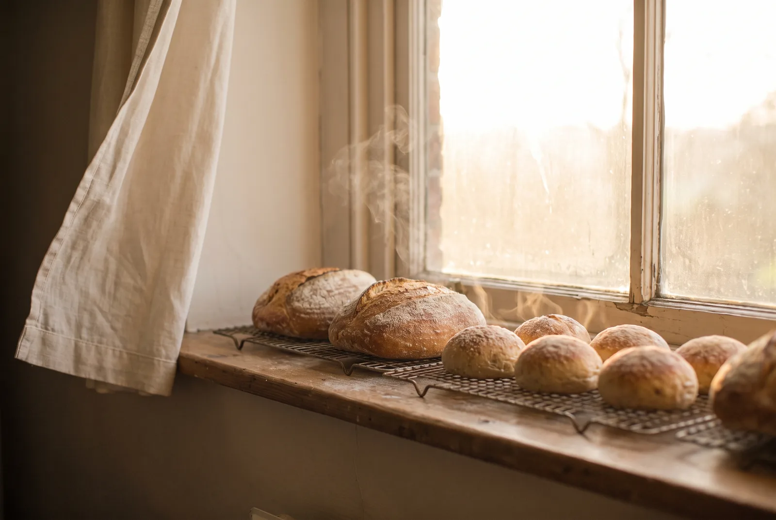 Loaves and buns cooling on wire racks along a sunlit windowsill