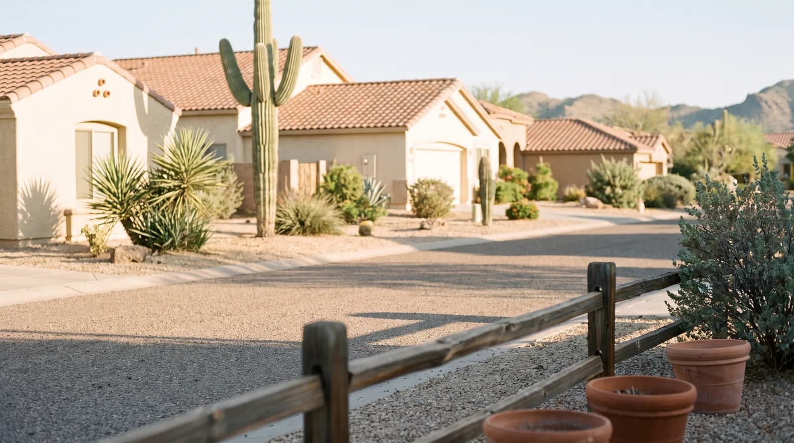 A quiet Phoenix residential street at golden hour with desert landscaping